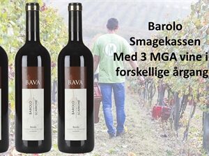 Barolo enkeltmarkskassen