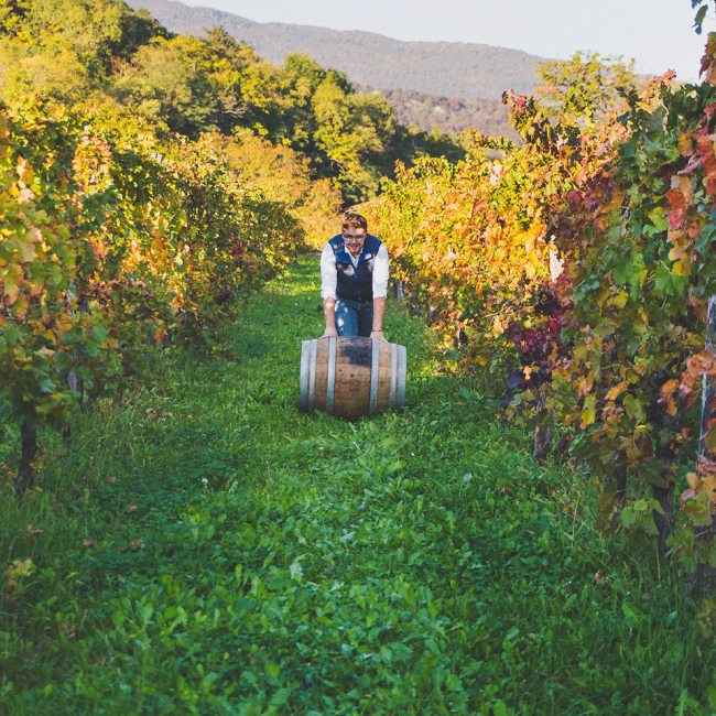 Pinot Grigio Vigna Lenuzza økologisk - Billede 2